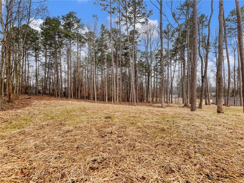 Natural landscape and outdoor views near in Gainesville (Image 39). Natural landscape and outdoor views near in Gainesville (Image 39).