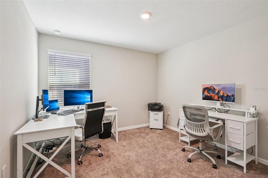 Furnished interior view inside a new home in Hawkstone, Lithia (Image 41). Furnished interior view inside a new home in Hawkstone, Lithia (Image 41).