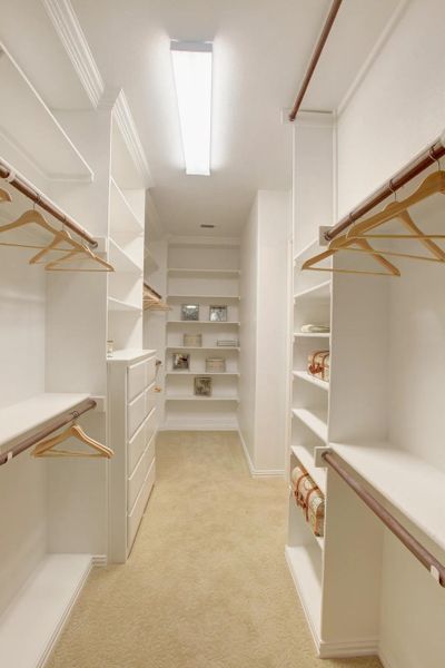 The Bracken III Closet