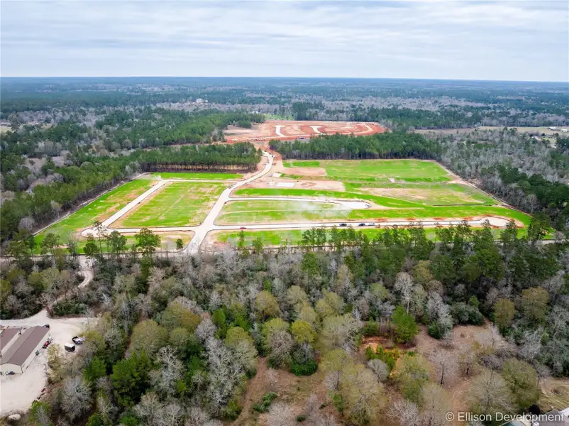 Site preparation for new homesites in , Conroe (Image 14).