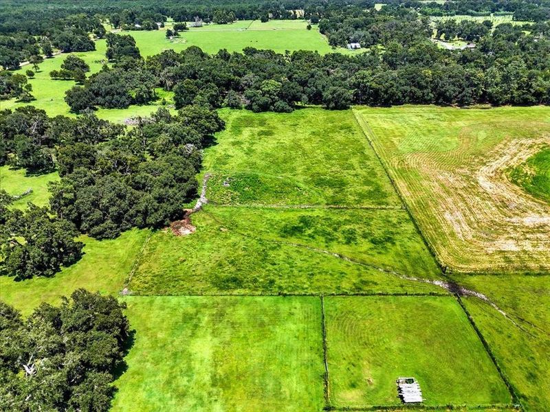 Natural landscape and outdoor views near  in Dade City (Image 5).