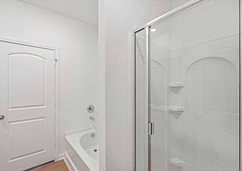 Step-in shower and seperate tub in master bathroom