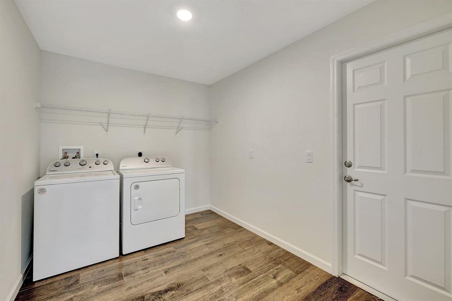 37-web-or-mls-632A5538