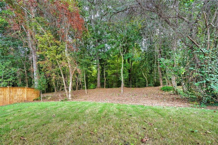 Natural landscape and outdoor views near  in Atlanta (Image 44).