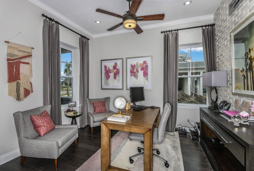 The Kahneman II - Study