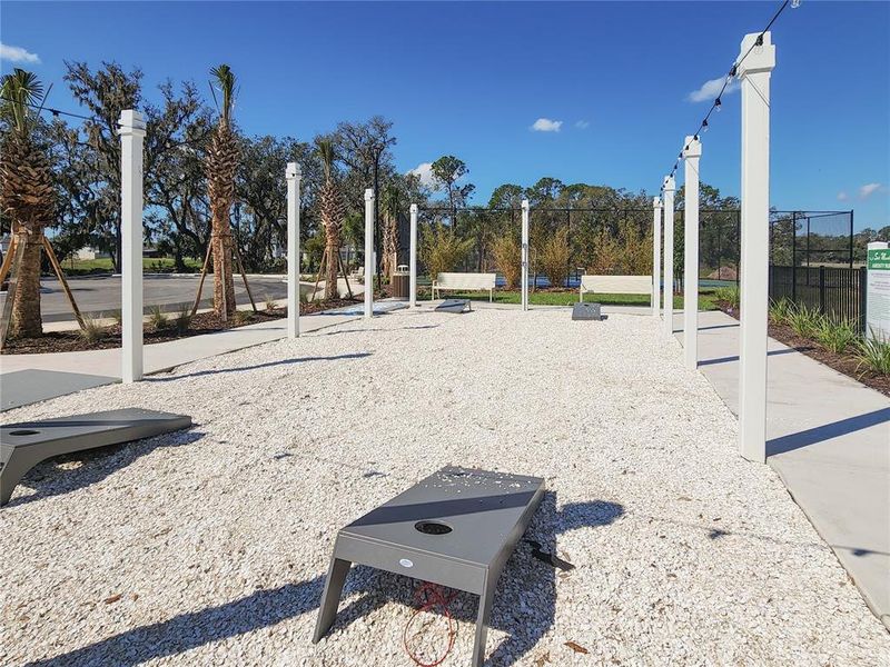 Cornhole Court