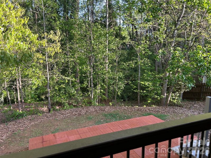 Natural landscape and outdoor views near  in Belmont (Image 36).