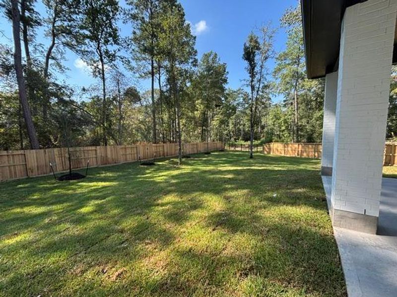 Exterior details and patio area of a home in The Woodlands Hills, Willis (Image 4).