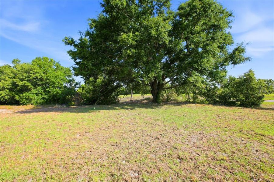 Natural landscape and outdoor views near  in Sebring (Image 31).