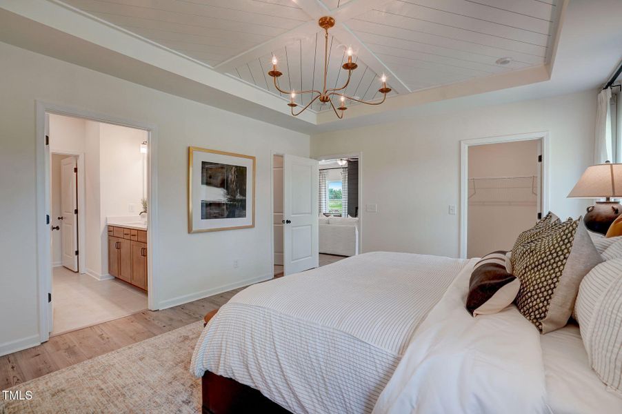 Representational Photo Representational Photo