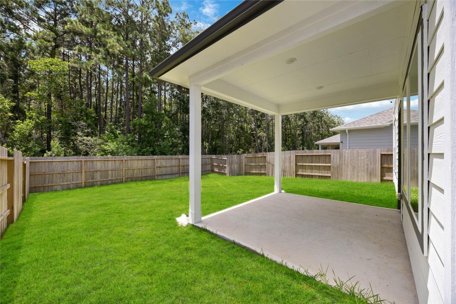 No back neighbors for relaxing with privacy! No back neighbors for relaxing with privacy!