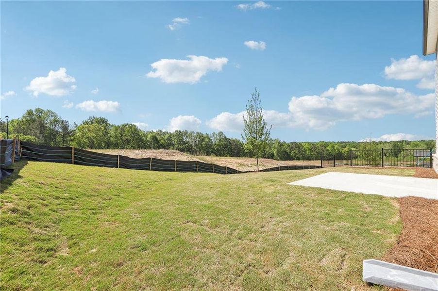 Exterior details and patio area of a home in Preserve at Mountain Creek, Pendergrass (Image 3).