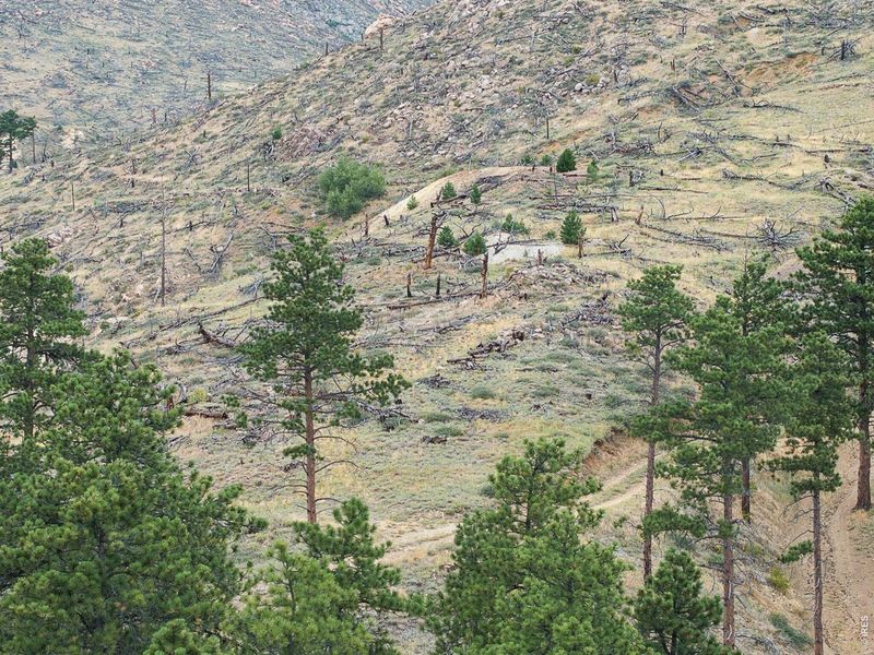 Natural landscape and outdoor views near  in Boulder (Image 15).