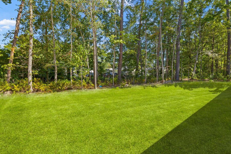 Natural landscape and outdoor views near  in Ravenel (Image 30).