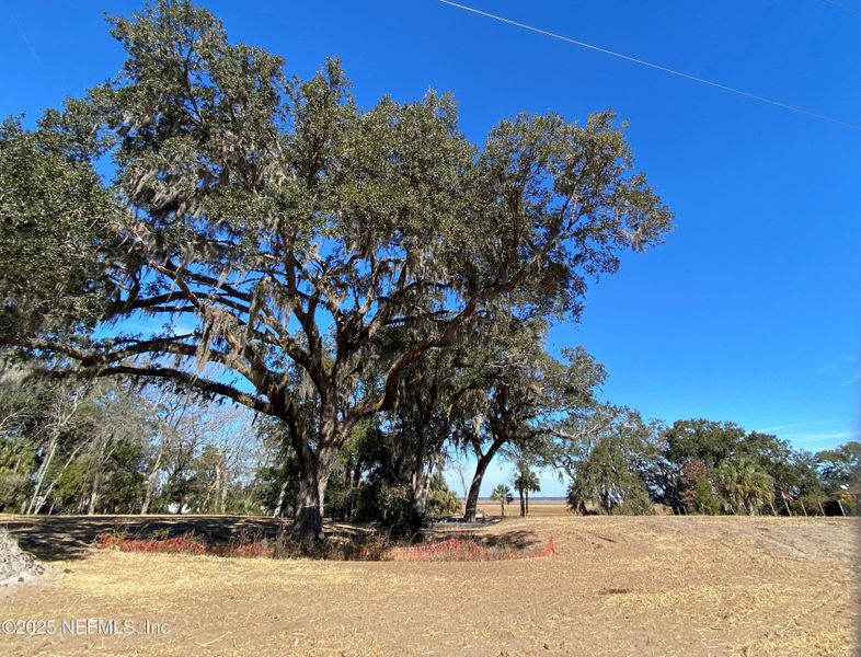 Image 10 of a home in Katie Cove.