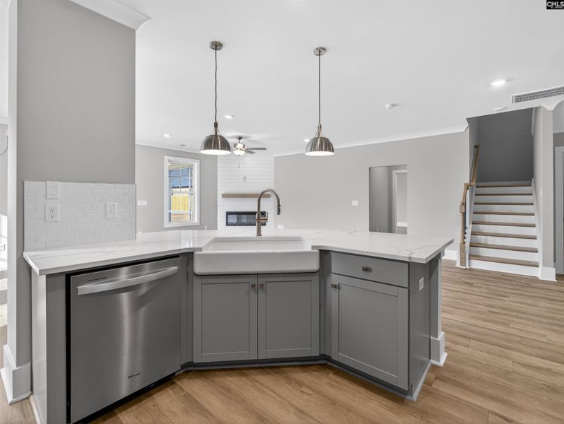 Furnished interior view inside a new home in Collins Cove, Chapin (Image 7).