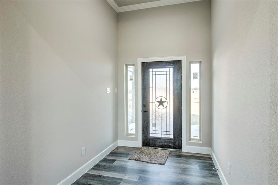 Entrance foyer with dark wood-style flooring and baseboards