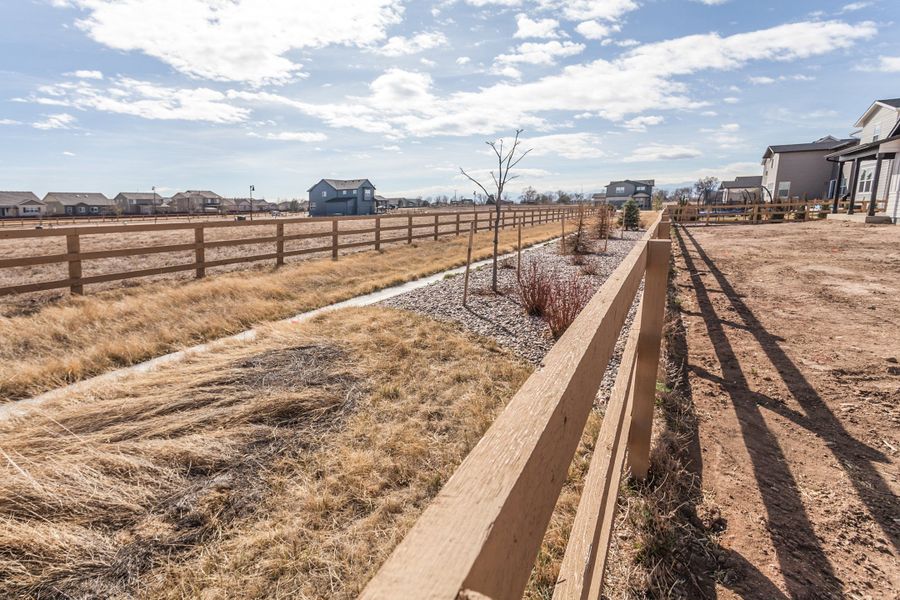 Site preparation for new homesites in Trailside, Timnath (Image 45). Site preparation for new homesites in Trailside, Timnath (Image 45).