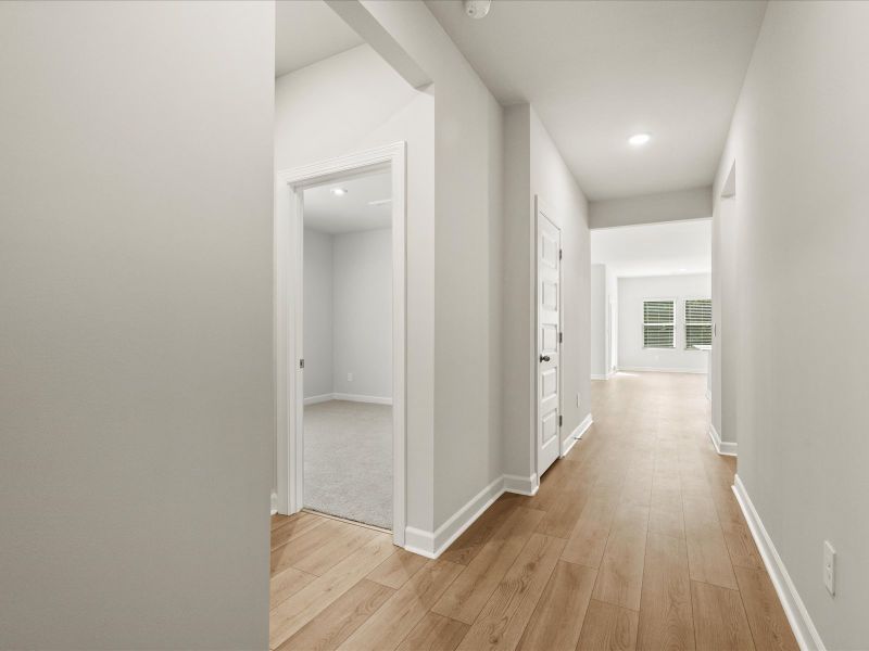 Welcome to the Chandler floorplan at Holland Park. Welcome to the Chandler floorplan at Holland Park.