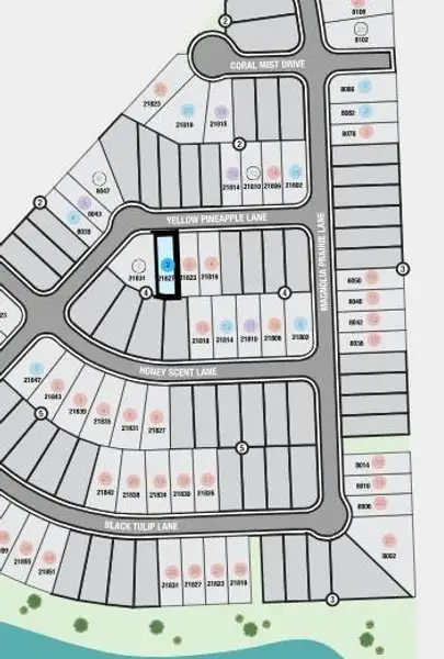 Mason Woods Sitemap Mason Woods Sitemap