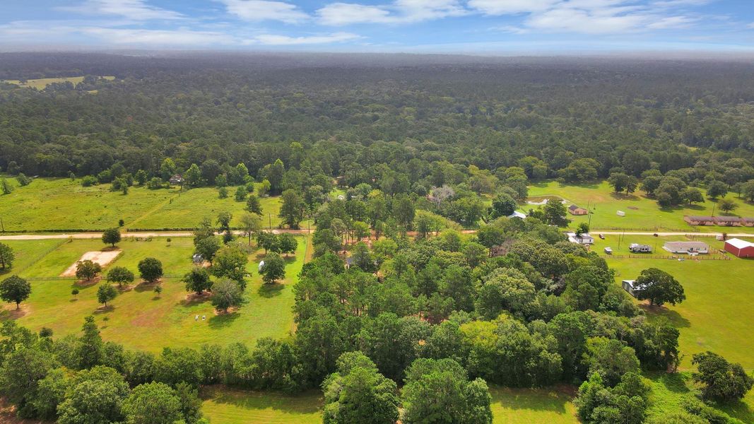 Natural landscape and outdoor views near  in Plantersville (Image 21).