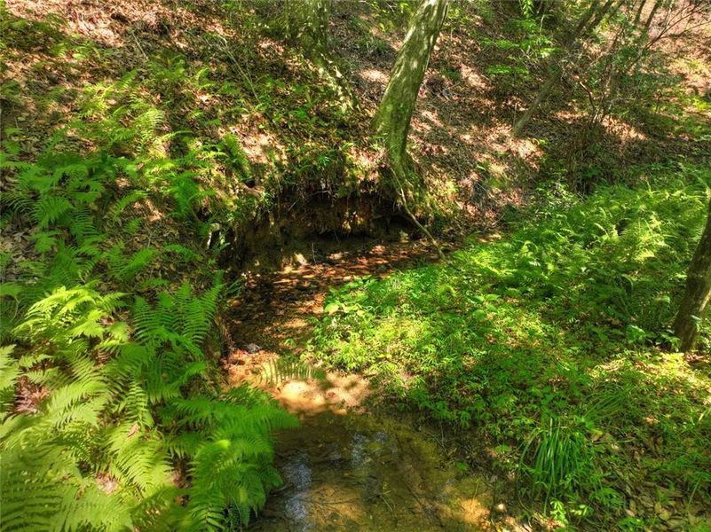Natural landscape and outdoor views near in Talking Rock (Image 58). Natural landscape and outdoor views near in Talking Rock (Image 58).