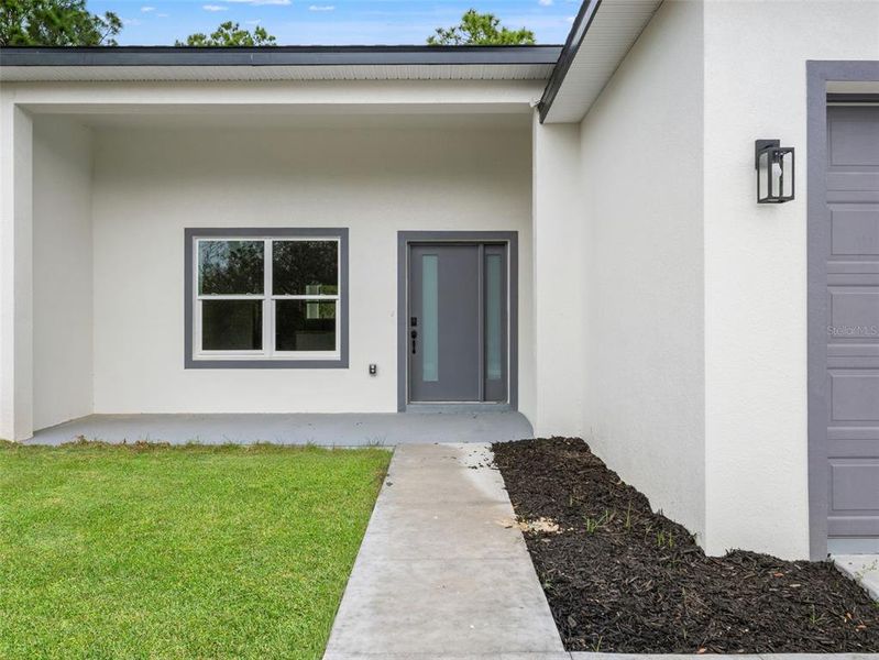 Exterior details and patio area of a home in , Ocklawaha (Image 3).