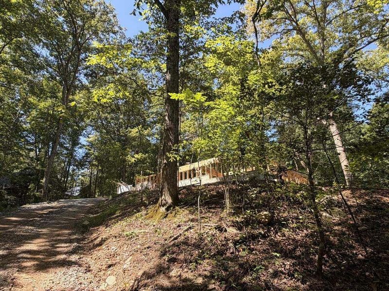 Natural landscape and outdoor views near  in Ellijay (Image 8).