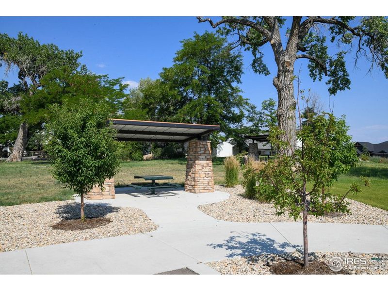 Community amenities in Harvest Ridge, Berthoud (Image 38).