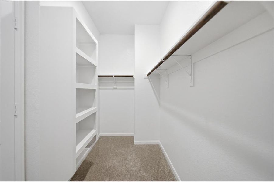 Walk in closet with light colored carpet