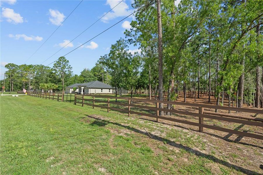Natural landscape and outdoor views near  in Dunnellon (Image 58).