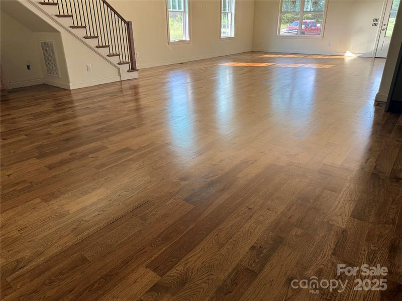 Lower level hardwoods. Lower level hardwoods.