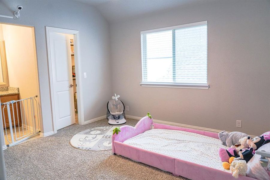 Carpeted bedroom featuring baseboards and lofted ceiling