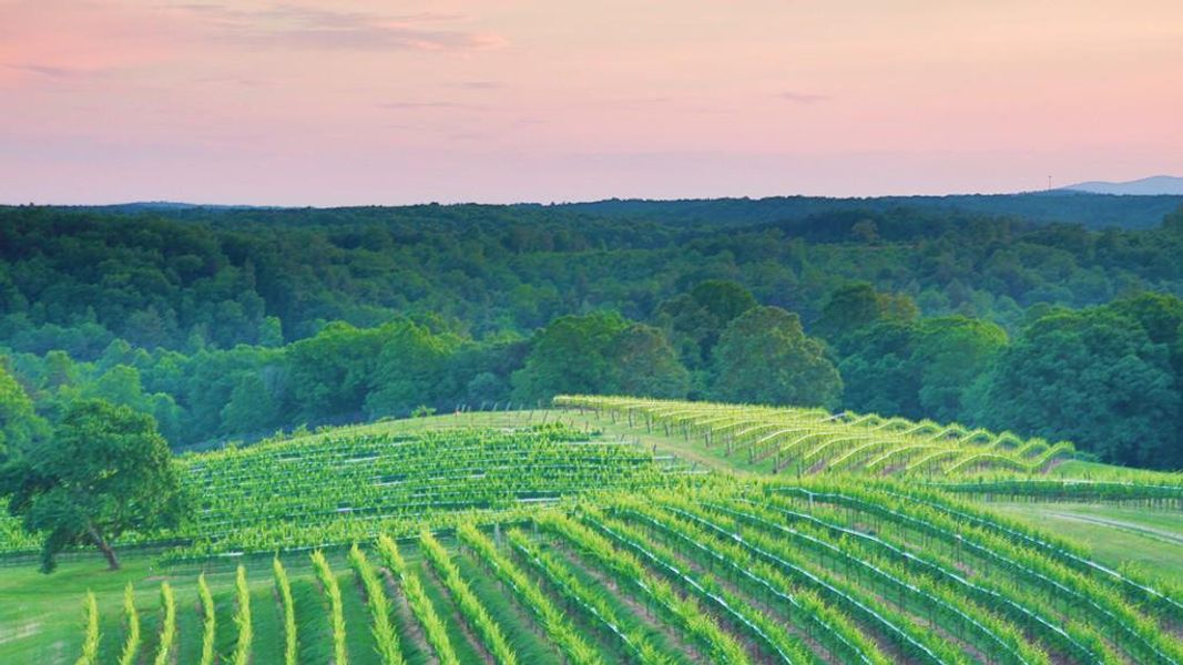 Natural landscape and outdoor views near Mountain Park in Dahlonega (Image 36).