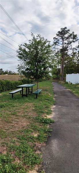 Natural landscape and outdoor views near Sunset Landing in Spring Hill (Image 12).