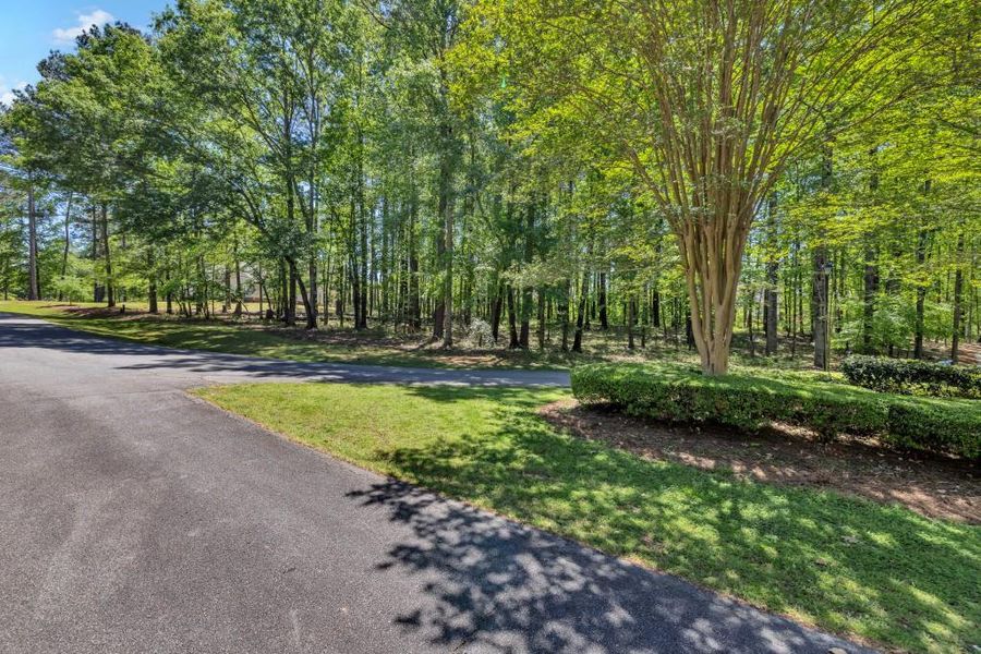 Natural landscape and outdoor views near  in Greensboro (Image 7).