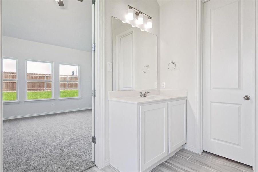 Bathroom featuring wood-type flooring and vanity