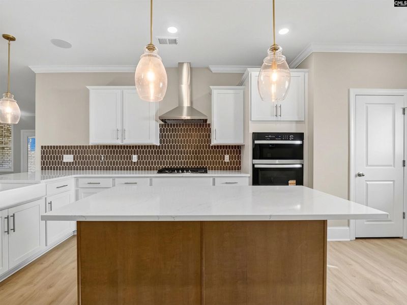 Furnished interior view inside a new home in Collins Cove, Chapin (Image 9).
