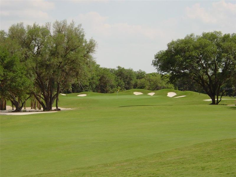 Natural landscape and outdoor views near  in Fort Myers (Image 27).