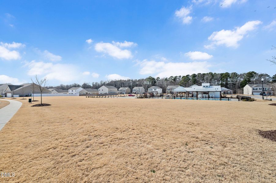 Neighborhood Green Space