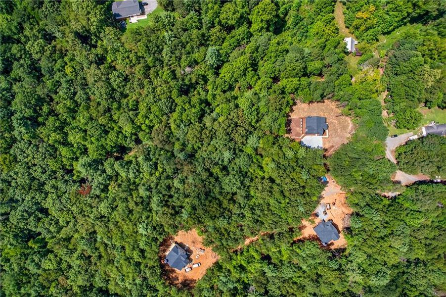 Natural landscape and outdoor views near  in Ellijay (Image 55).