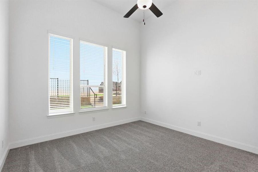 1008 Rainshower ~ Ready Now 1008 Rainshower ~ Ready Now