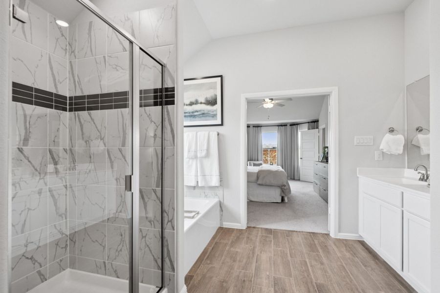 Owner's Bathroom