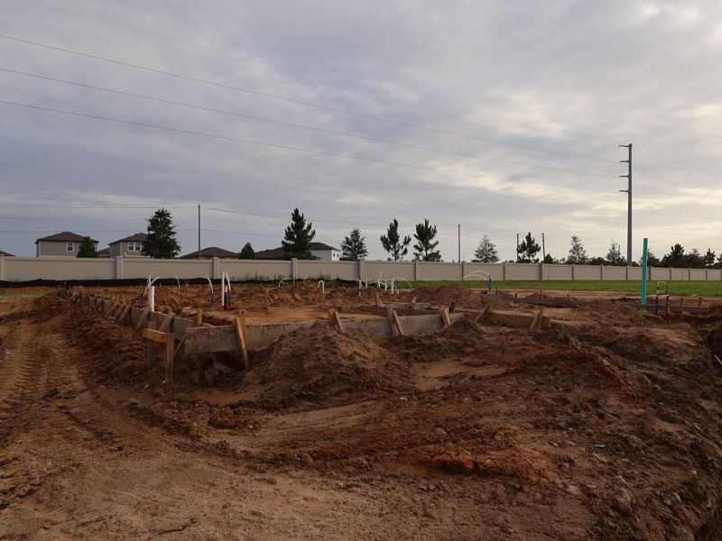 Homesite