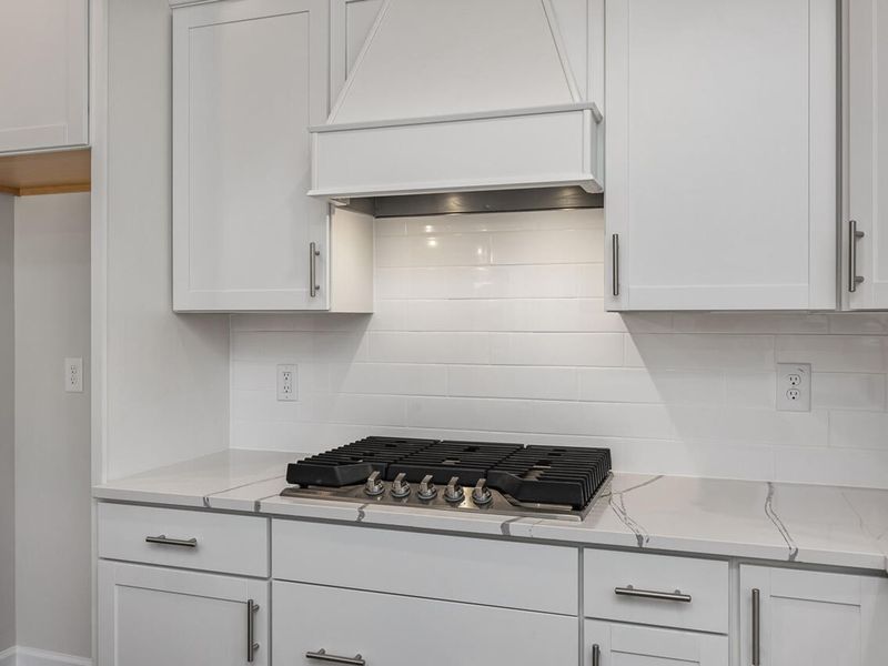 Close-up of interior finishes inside a home in Sage on North Main, Wake Forest (Image 11).
