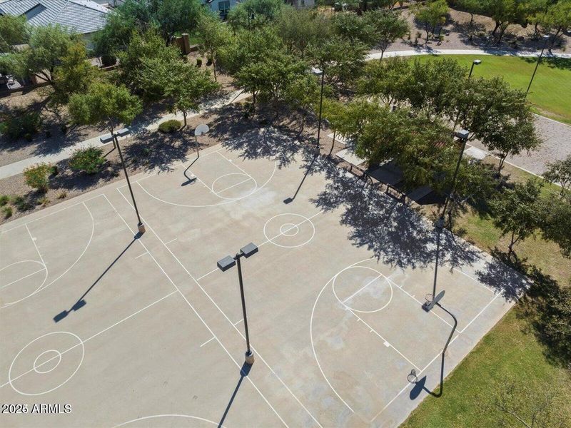 Basketball courts2