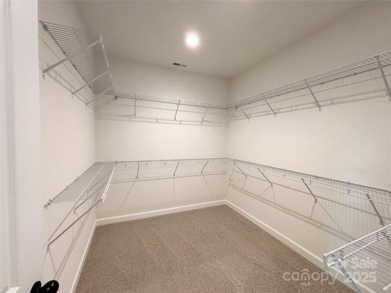 Spacious, unfurnished interior of a new home in Brighton Park, Mount Pleasant (Image 19).