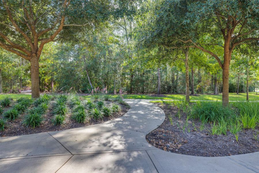 Natural landscape and outdoor views near The Trails in New Caney (Image 9).