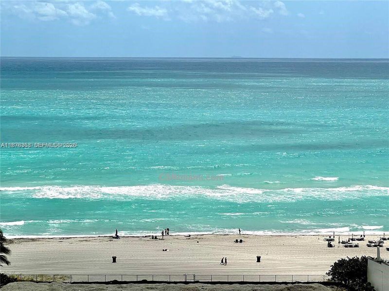 Natural landscape and outdoor views near  in Sunny Isles Beach (Image 40).