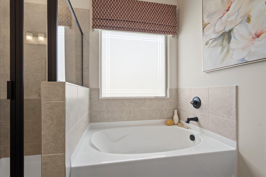 35_dsc08050 35_dsc08050